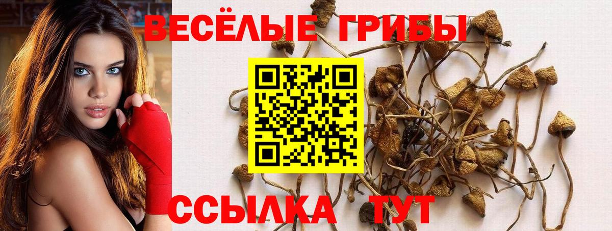 Альфа ПВП СОЛЬ   Урус-Мартан  МЕФ   КОКАИН  ГАШ  МАРИХУАНА  Вход с VPN 