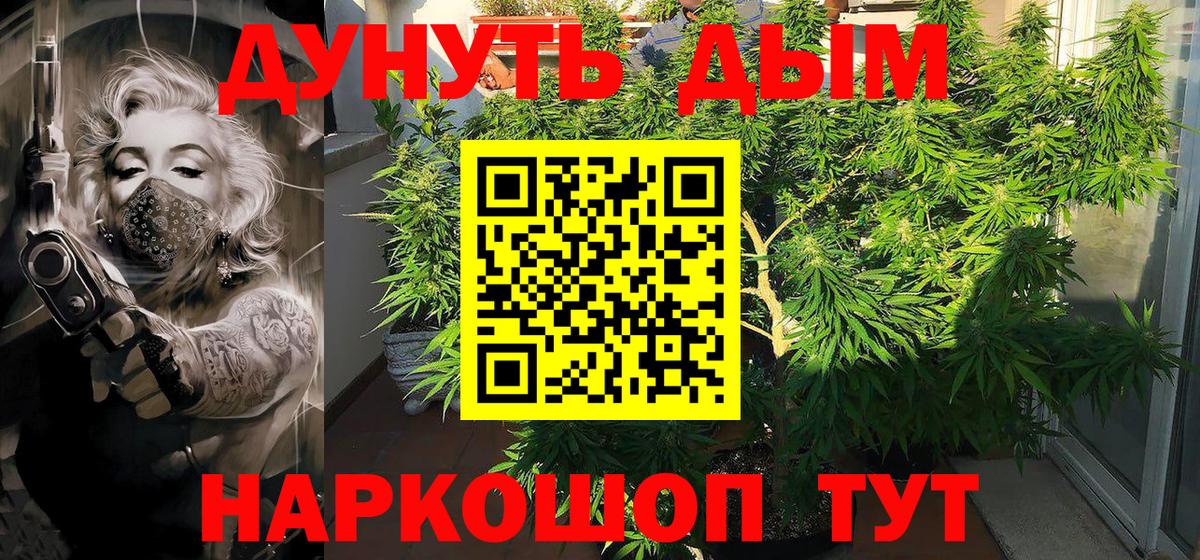Каннабис семена Урус-Мартан